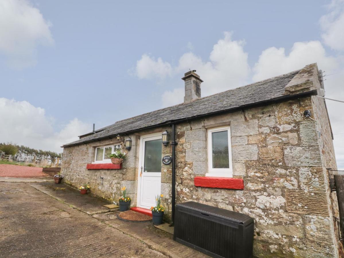 Healey Farm Cottage Morpeth Exteriör bild